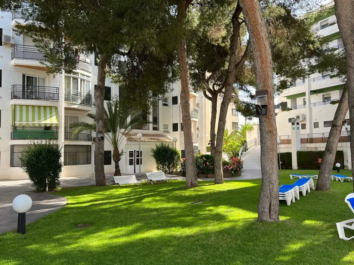 Casa Jardín — foto 16